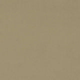 Sanderson Dorton Oatmeal Fabric
