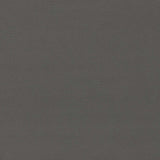 Sanderson Dorton Gunmetal Fabric