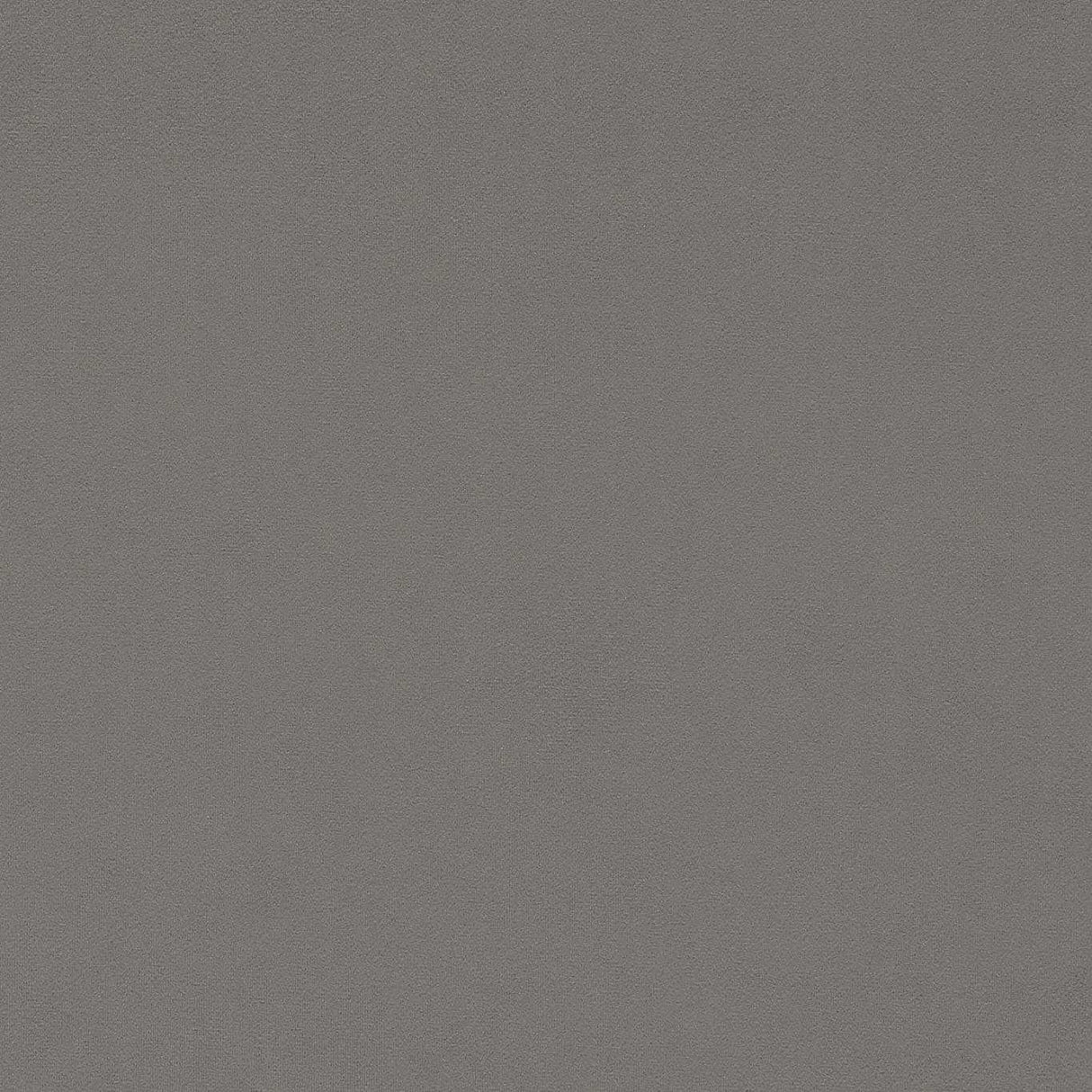 Sanderson Dorton Tawny Fabric