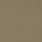 Sanderson Dorton Pumice Fabric