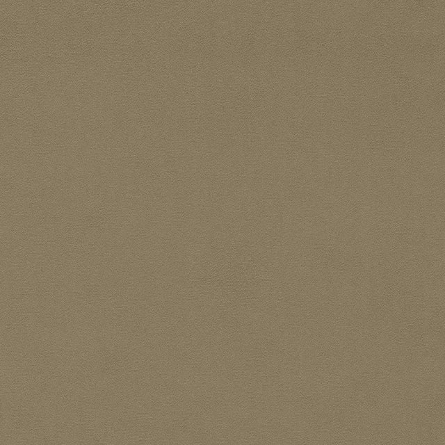 Sanderson Dorton Pumice Fabric