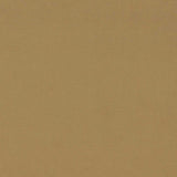 Sanderson Dorton Hay Fabric