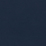 Sanderson Dorton Midnight Fabric