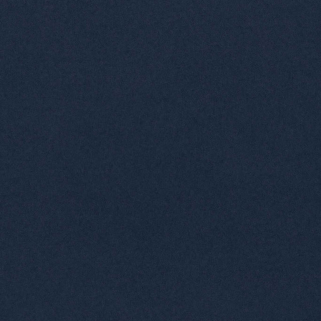 Sanderson Dorton Midnight Fabric