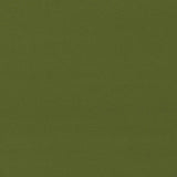 Sanderson Dorton Chive Fabric