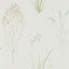 Sanderson Farne Grasses Cream/Sage Wallpaper