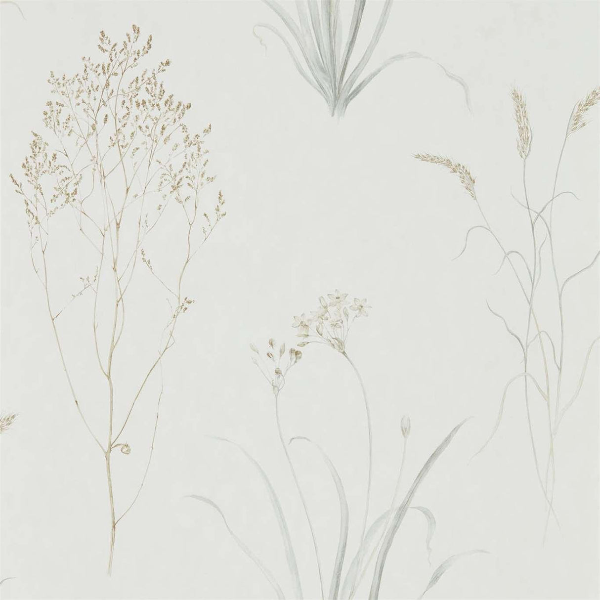 Sanderson Farne Grasses Silver/Ivory Wallpaper