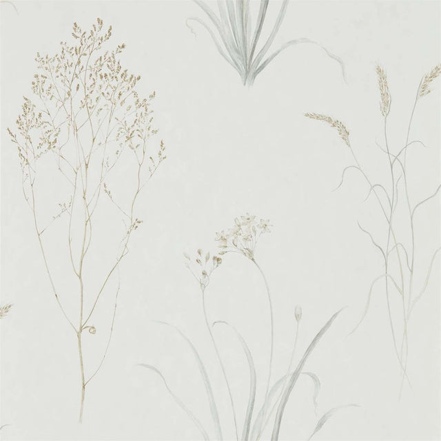 Sanderson Farne Grasses Silver/Ivory Wallpaper