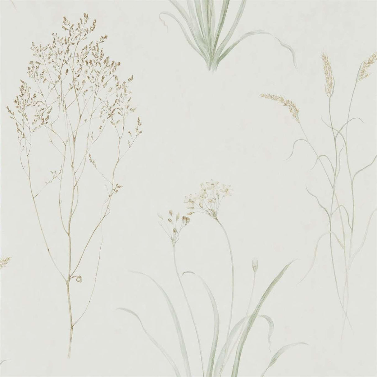 Sanderson Farne Grasses Willow/Pebble Wallpaper