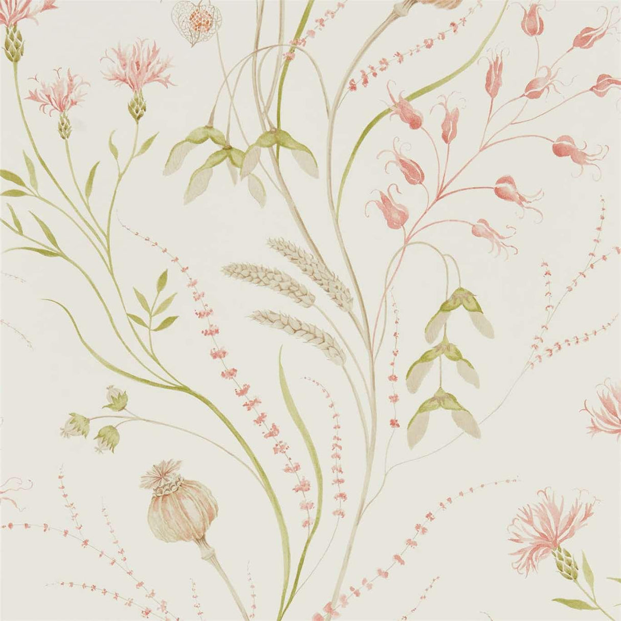 Sanderson Summer Harvest Claret/Olive Wallpaper