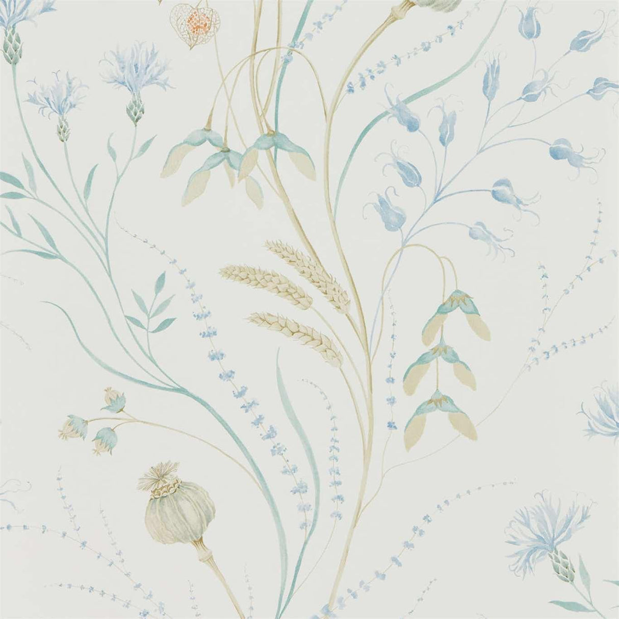 Sanderson Summer Harvest Cornflower/Wheat Wallpaper