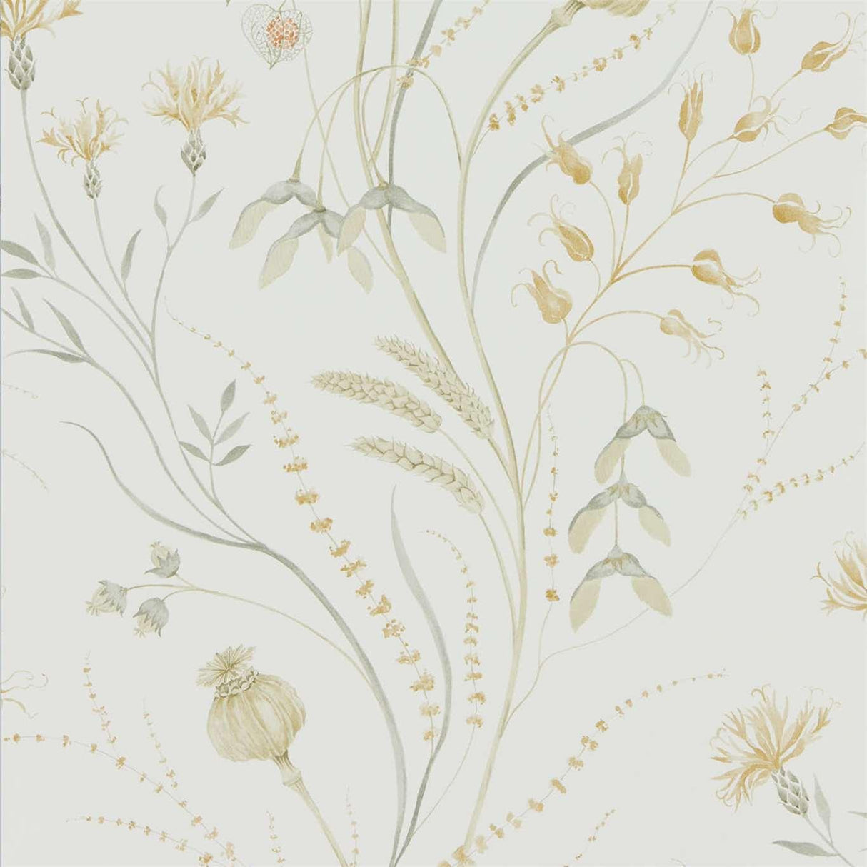 Sanderson Summer Harvest Silver Corn Wallpaper