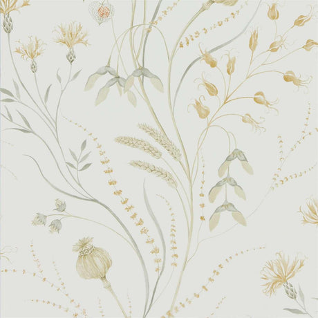 Sanderson Summer Harvest Silver Corn Wallpaper
