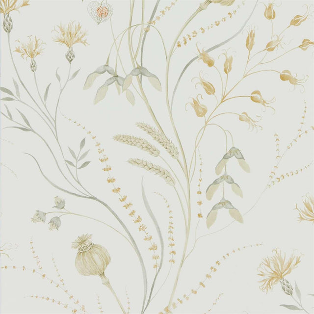 Sanderson Summer Harvest Silver Corn Wallpaper