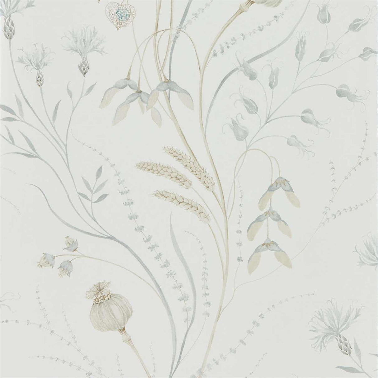 Sanderson Summer Harvest Silver/Chalk Wallpaper