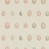 Sanderson Nest Egg Blush pink Wallpaper