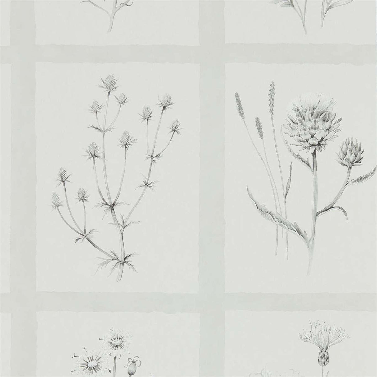Sanderson Little Thistles Pewter Wallpaper