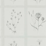 Sanderson Little Thistles Pewter Wallpaper