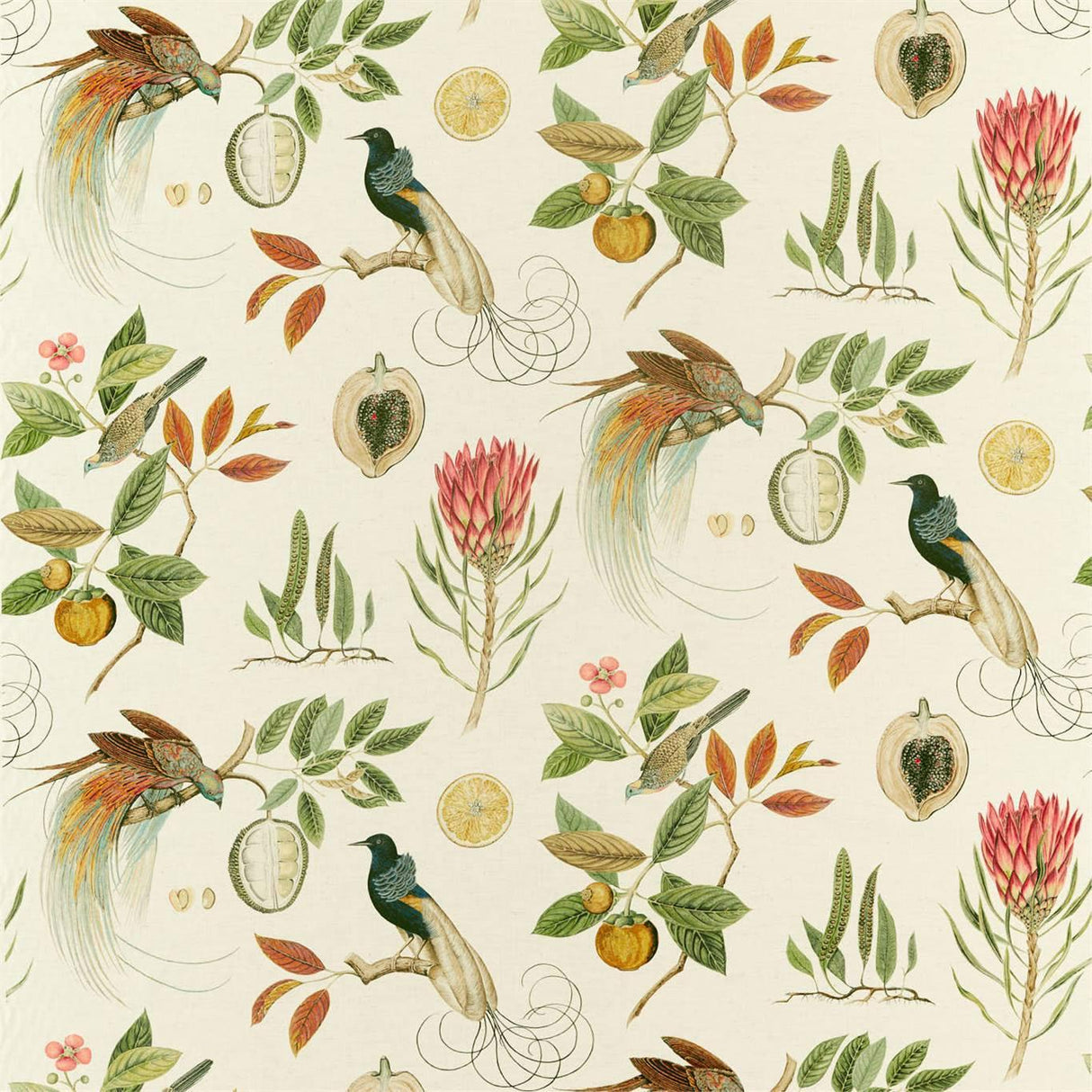 Sanderson Paradesia Orange/Olive Fabric