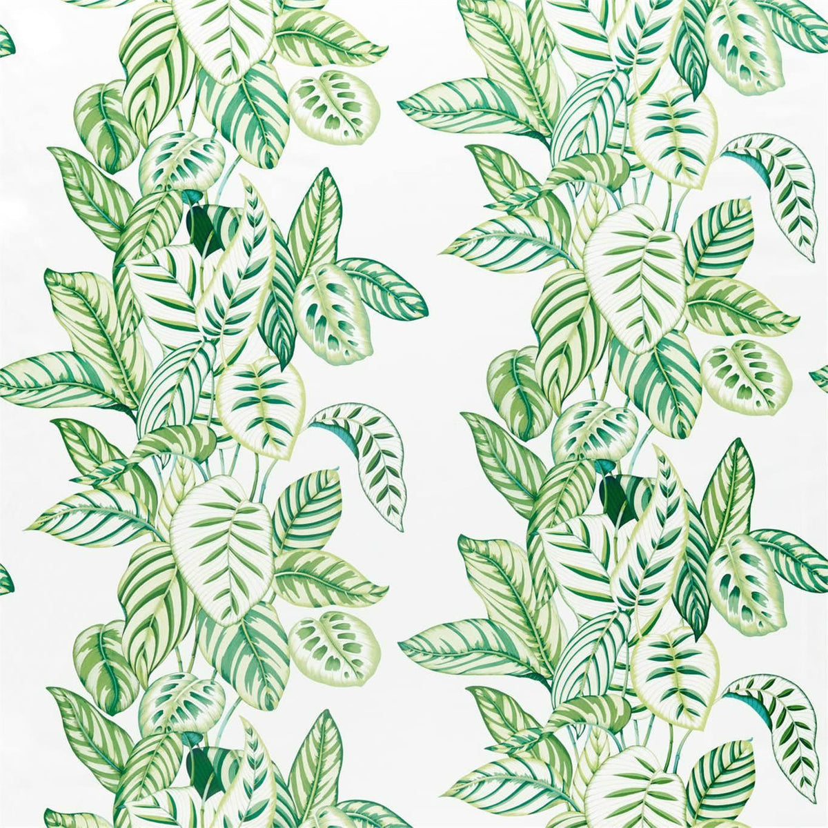 Sanderson Calathea Botanical Green Fabric
