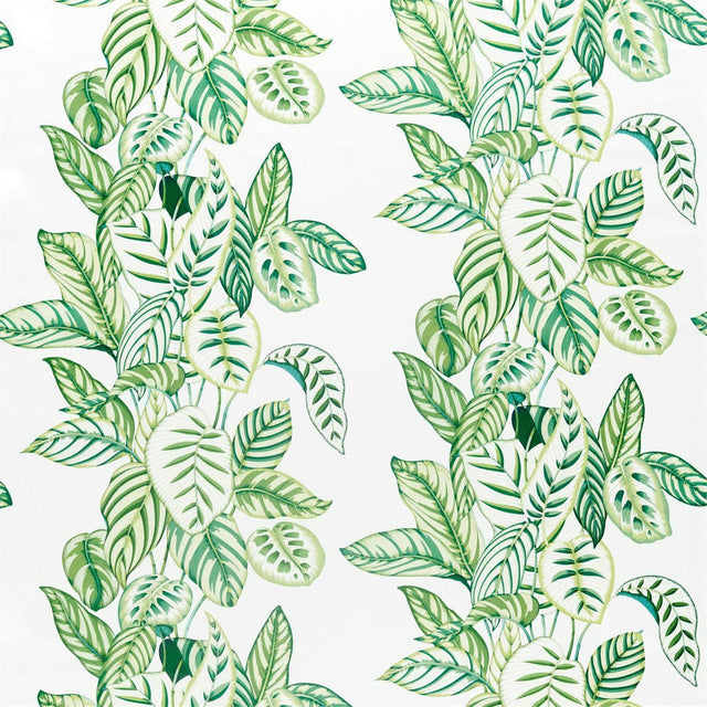 Sanderson Calathea Botanical Green Fabric