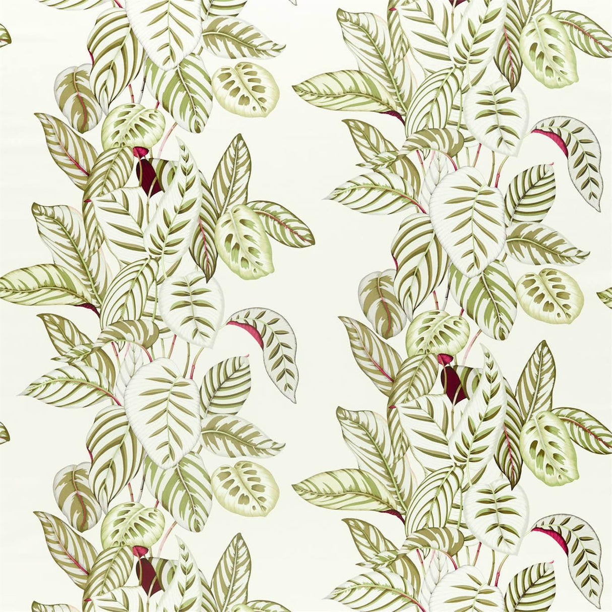 Sanderson Calathea Olive Fabric