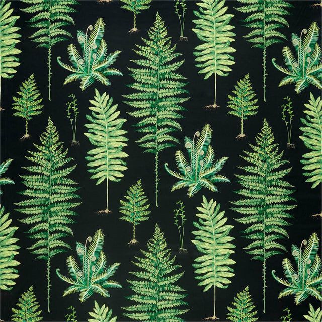 Sanderson Fernery Botanical Green/Charcoal Fabric