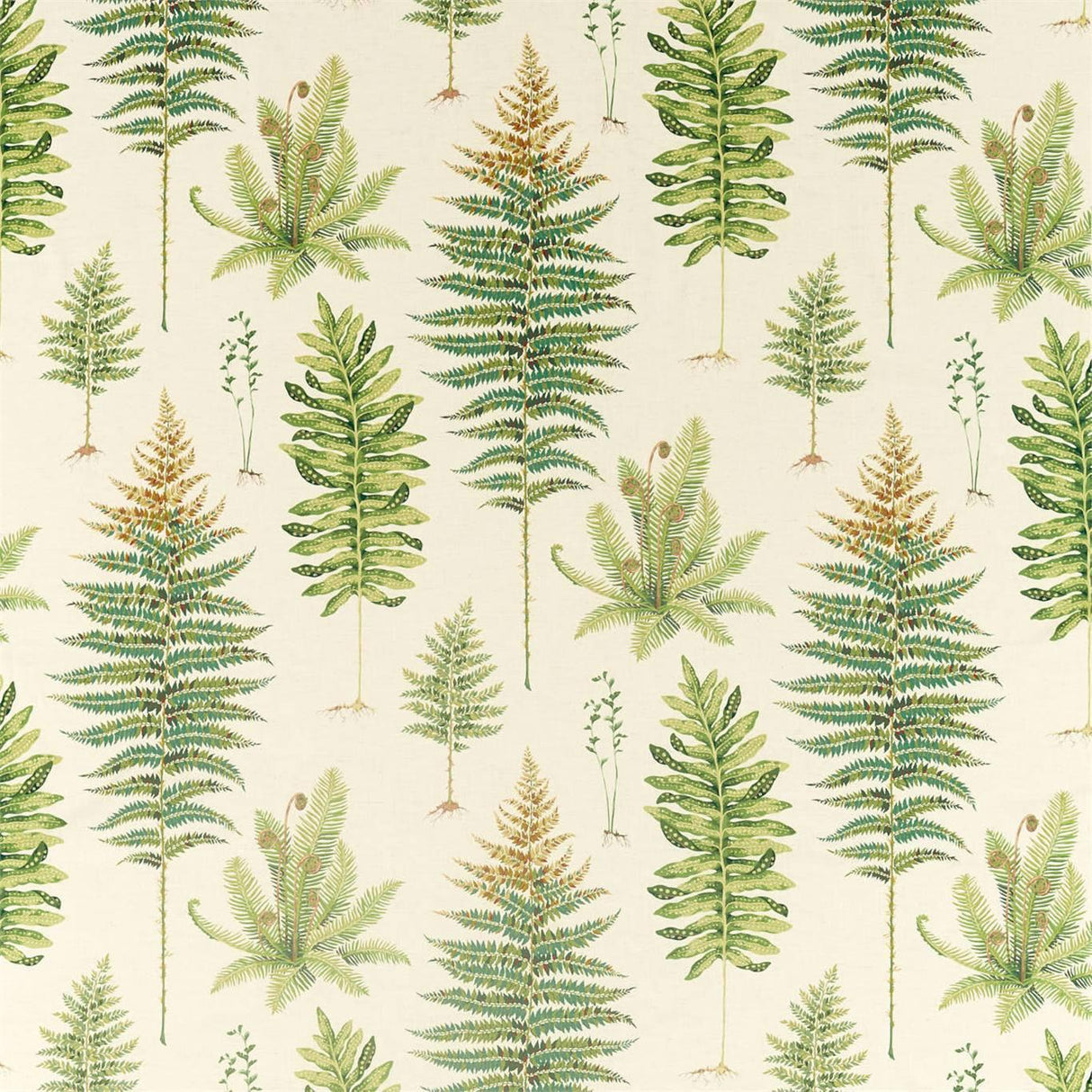 Sanderson Fernery Olive Fabric