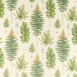 Sanderson Fernery Olive Fabric