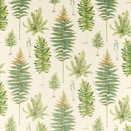 Sanderson Fernery Olive Fabric