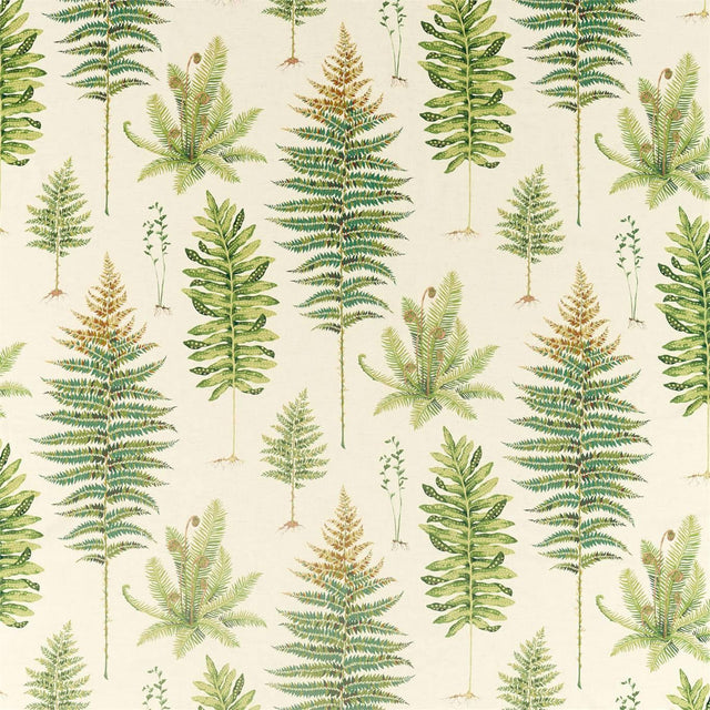 Sanderson Fernery Olive Fabric