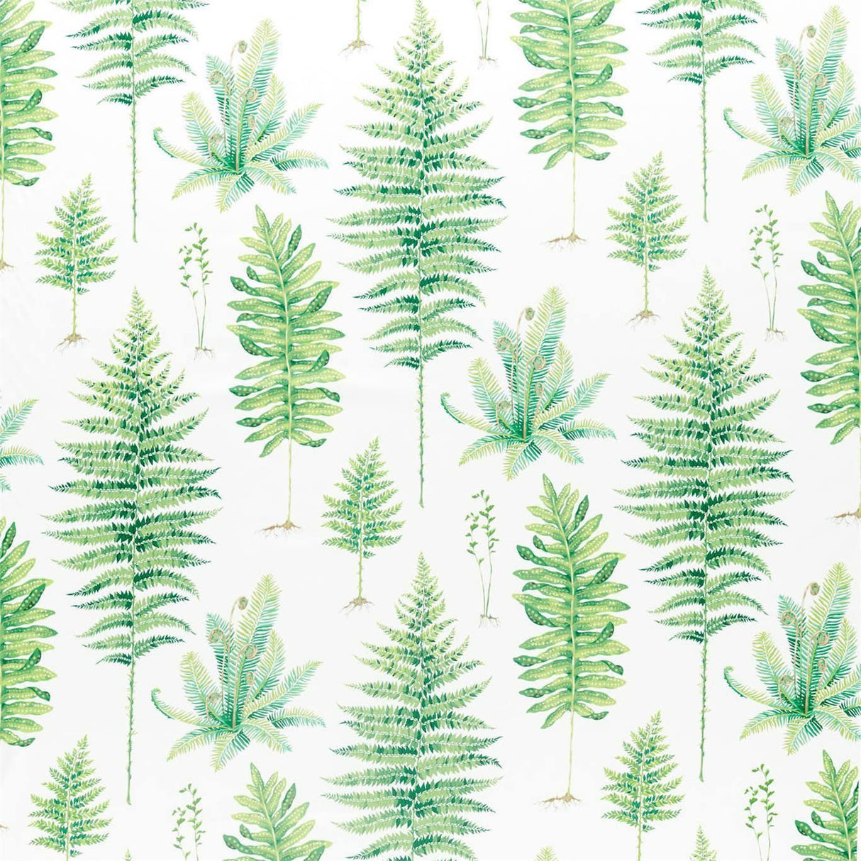 Sanderson Fernery Botanical Green Fabric
