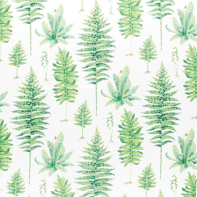 Sanderson Fernery Botanical Green Fabric