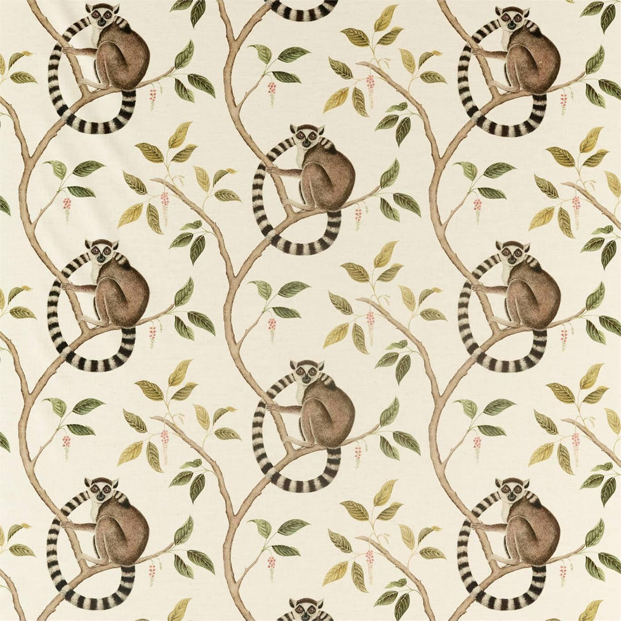 Sanderson Ringtailed Lemur Olive Fabric