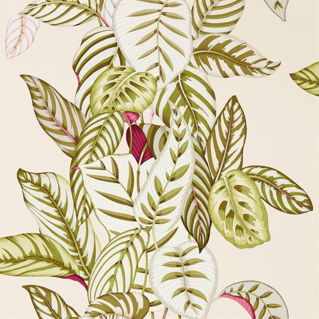 Sanderson Calathea Olive Wallpaper
