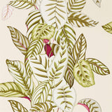 Sanderson Calathea Olive Wallpaper