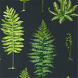 Sanderson Fernery Botanical Green/Charcoal Wallpaper
