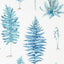 Sanderson Fernery China Blue Wallpaper