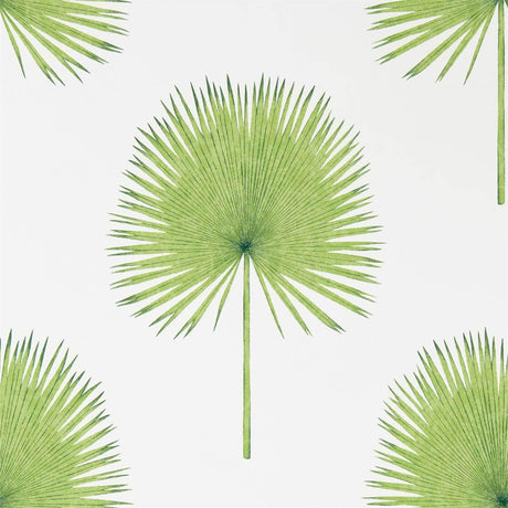 Sanderson Fan Palm Botanical Green Wallpaper
