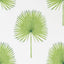 Sanderson Fan Palm Botanical Green Wallpaper