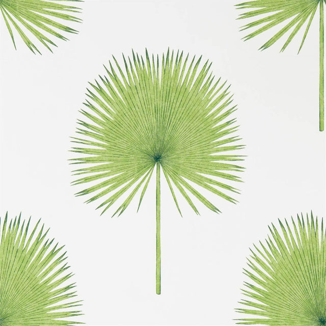 Sanderson Fan Palm Botanical Green Wallpaper