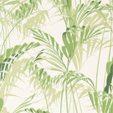Sanderson Palm House Botanical Green Wallpaper