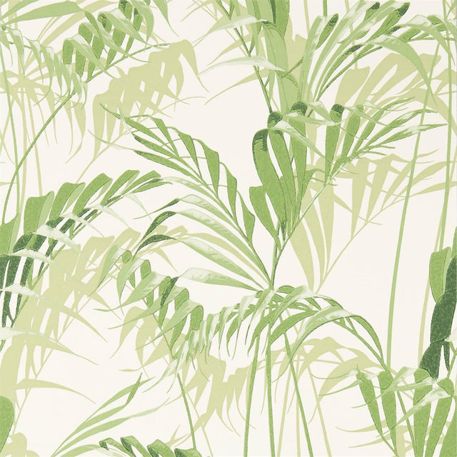 Sanderson Palm House Botanical Green Wallpaper