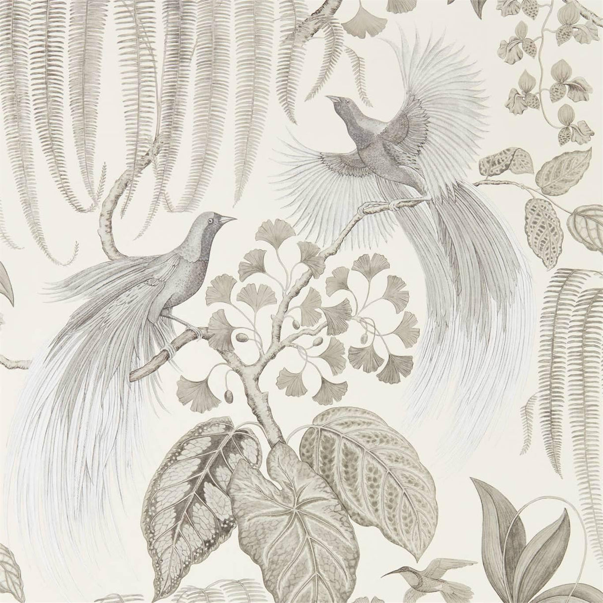 Sanderson Bird of Paradise Linen Wallpaper