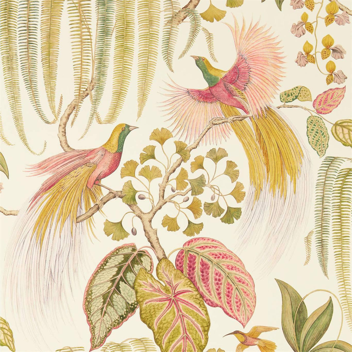 Sanderson Bird of Paradise Olive Wallpaper