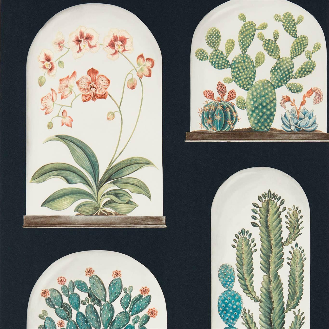 Sanderson Terrariums Ink/Multi Wallpaper by Sanderson