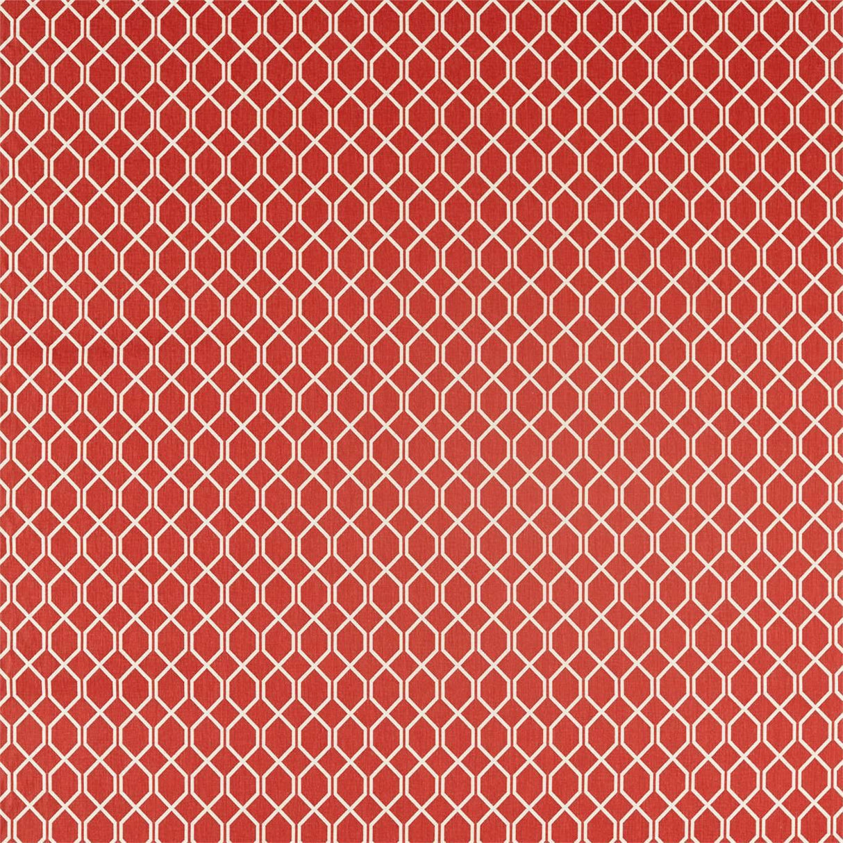 Sanderson Botanic Trellis Bengal Red Fabric