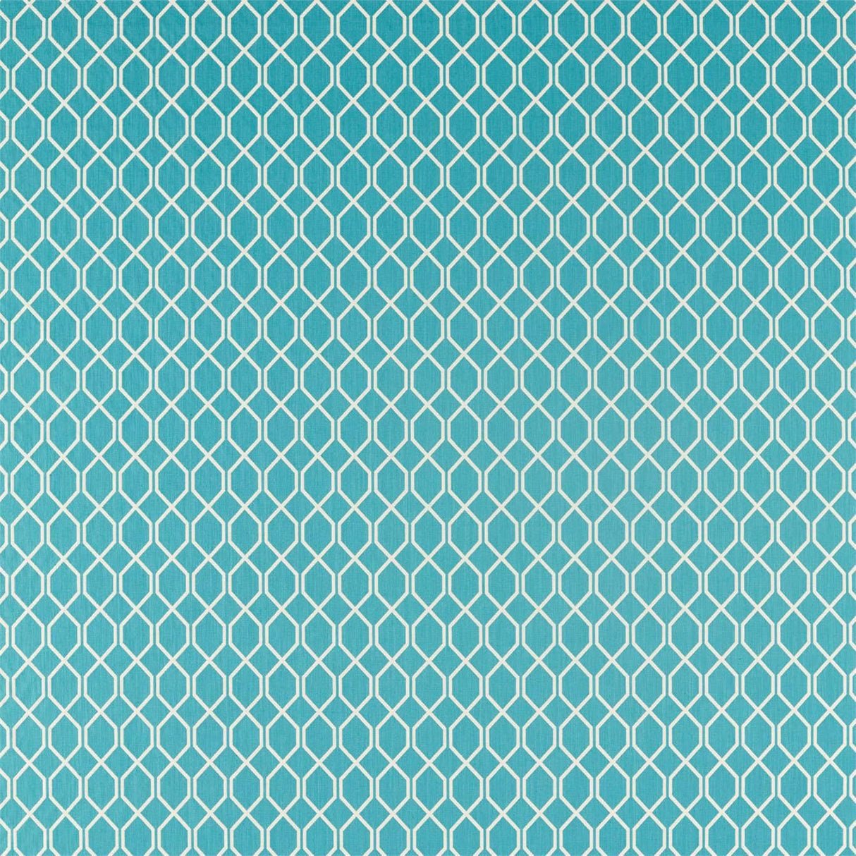 Sanderson Botanic Trellis Tropical Palm Fabric