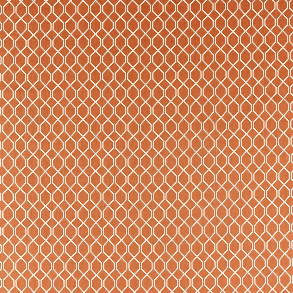 Sanderson Botanic Trellis Papaya Fabric