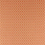 Sanderson Botanic Trellis Papaya Fabric